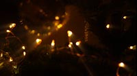 Lights In Christmas Tree Out Of Focus
