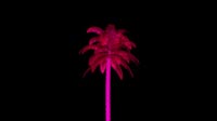 Neon Palm Tree Single Isolated Rotating