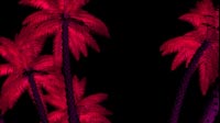 Neon Palm Trees Bottom Up Rotating