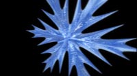  Snowflake 4 Rotating Centered Blue