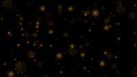 Starlike Golden Snowflakes Falling