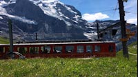 Swiss Mountains Train Passing