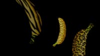 Textured Bananas