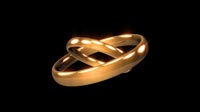 Wedding Rings Embracing 1