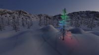 Christmas Tree in Forest